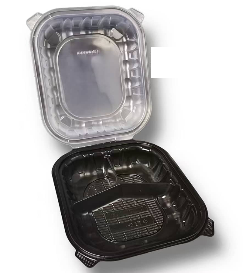 9x10 Lunch Box – Free 3 Compartment Meal Prep Container