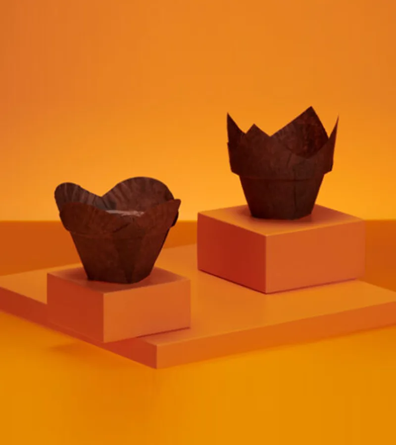 Paper Cups Lotus