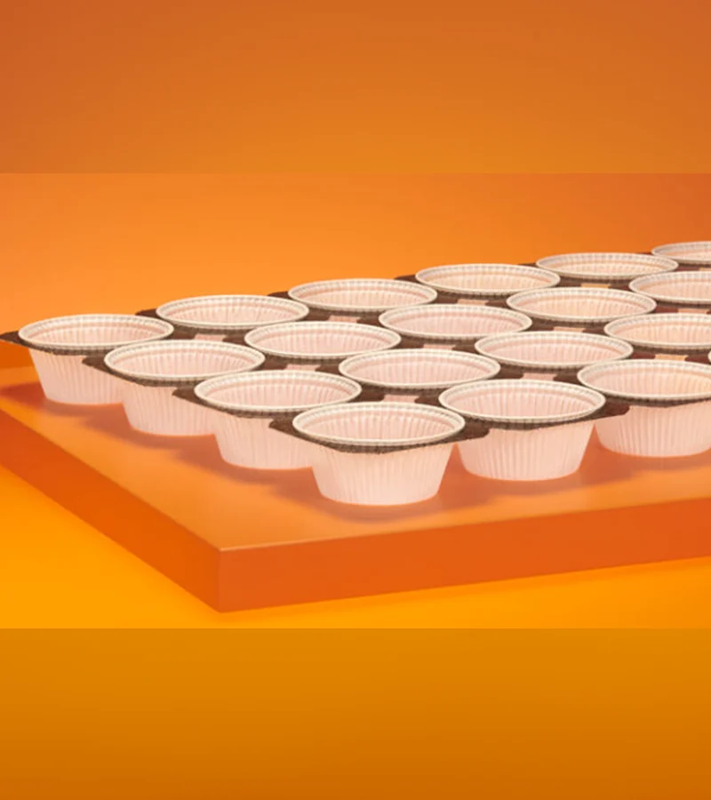 Paper Cups Tray System