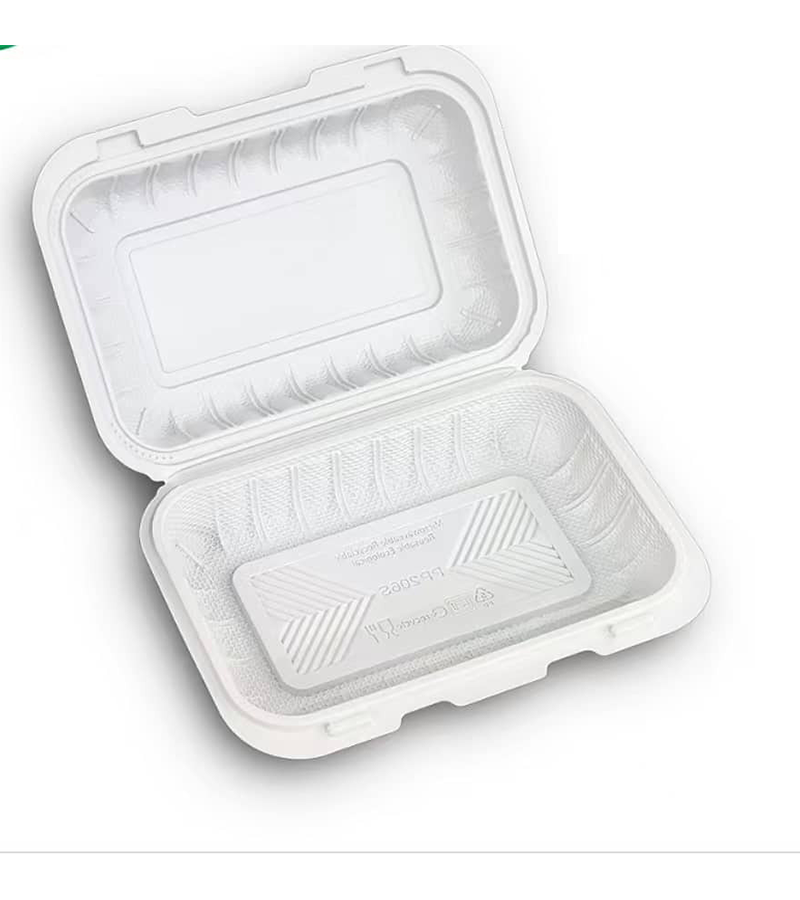 9x6 Polypropylene Hinged Container – White, 1 Compartment