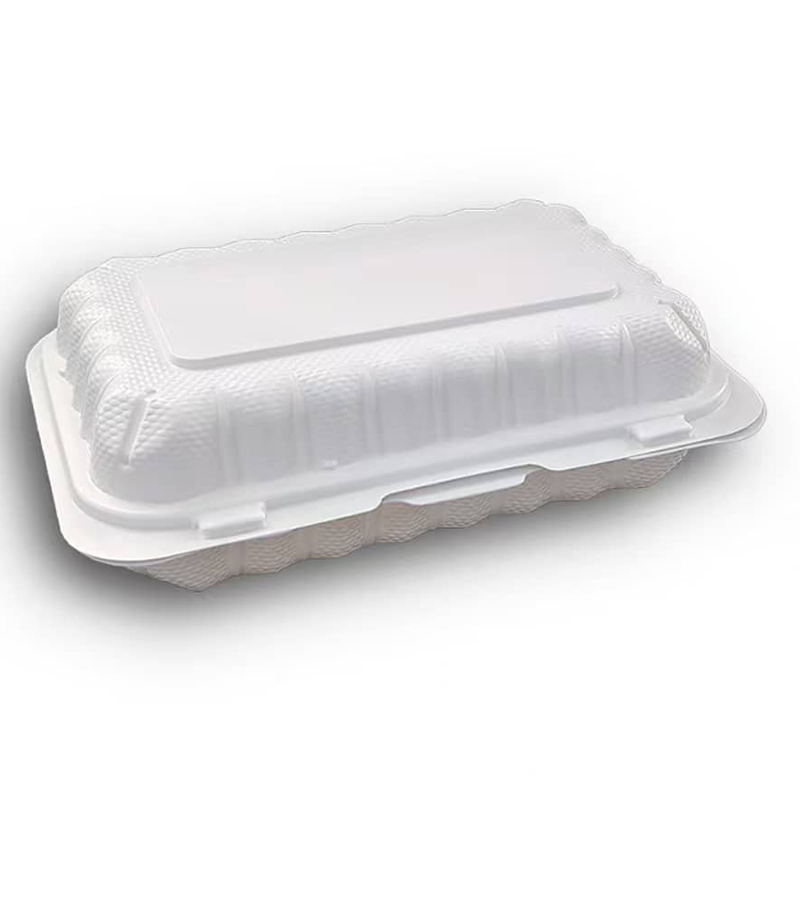 9x6 Polypropylene Hinged Container – 1 Compartment